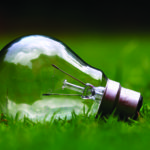 lightbulb on grass