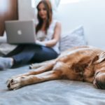 A woman works on a laptop on a bed. A dog sleeps in the foreground.